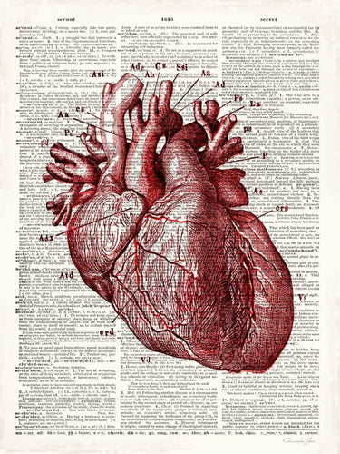 Vintage anatomy heart education canvas art print by James Christopher, featuring detailed illustration of the human heart.