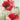 Feeling at Home floral canvas art print featuring vibrant field poppies by Lynch Brent, showcasing colorful flower artwork.