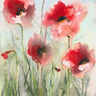 Feeling at Home Field Poppies 2 floral canvas art print by Lynch Brent showcasing vibrant poppy flowers on canvas.