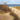 Coastal canvas art print featuring beach trail scene by Stefano, textured artwork from Feeling at Home collection.