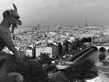 View of Notre-Dame Paris captured in a canvas art print by Frank Assaf, featuring a scenic Paris cityscape.