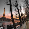 Canvas art print featuring a row of trees, the Seine River, and the Eiffel Tower at dusk, by Frank Assaf for Feeling at Home.
