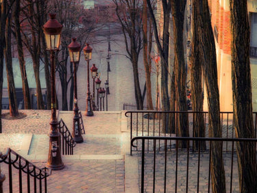 Canvas art print of Montmartre staircase in Paris by Frank Assaf, showcasing the iconic French urban scene.