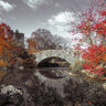Canvas Art Print Gapstow bridge in the Autumn, Central park, New York Photography subject by Frank Assaf Fine Art Print quality