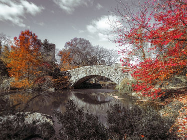 Canvas Art Print Gapstow bridge in the Autumn, Central park, New York Photography subject by Frank Assaf Fine Art Print quality