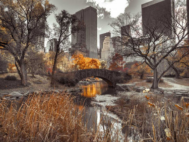 Feeling at Home art print of Gapstow Bridge in Central Park during autumn, captured by Frank Assaf.