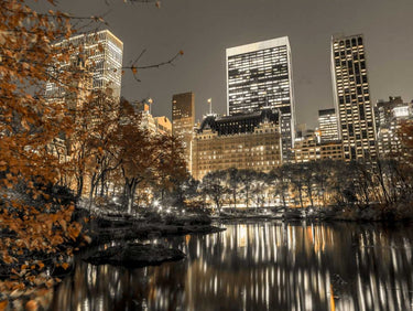 Evening view of Central Park in New York City landscape canvas art print by Feeling at Home, featuring city skyline and park scenery.