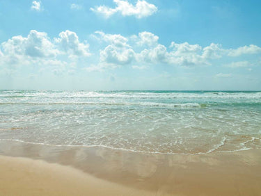 Feeling at Home beach landscape canvas art print by Frank Assaf depicting a serene beach with cloud-filled sky.