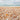 Sea shells on the beach photography canvas art print by Frank Assaf, featuring natural beach scene with shells and sand.