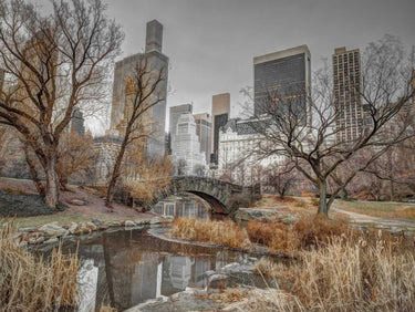 Feeling at Home art print of Central Park and Manhattan skyline in New York, featuring a vibrant cityscape canvas by Frank Assaf.