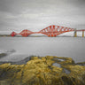Scotland Forth Rail Bridge canvas art print by Frank Assaf, showcasing a detailed view of the iconic bridge in natural tones.