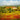 Canvas Art Print Landscape With Poppies II Landscape subject by Basohli School Fine Art Print quality