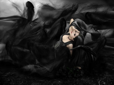 Canvas Art Print Darkness Fantasy subject by Schoelnhammer Heinz Fine Art Print quality