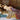 Canvas Art Print Sleeping Beauty Figurative subject by Cezanne Paul Fine Art Print quality