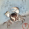 Canvas Art Print A Crab on The Seashore Museum subject by Manet Edouard Fine Art Print quality