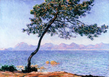 Canvas Art Print Cap d'Antibes Coastal subject by NASA Fine Art Print quality
