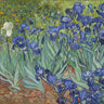 Canvas Art Print Irises, 1889 Floral subject by Deiter Lori Fine Art Print quality