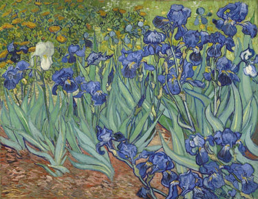 Canvas Art Print Irises, 1889 Floral subject by Deiter Lori Fine Art Print quality