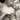 Canvas Art Print Cupid and Psyche - Detail Photography subject by Da Vinci Leonardo Fine Art Print quality