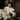 Feeling at home Bacchus figurative canvas art print by Leonardo da Vinci featuring detailed classical artwork.