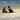 Canvas Art Print Confidences Coastal subject by Rousseau Henri Fine Art Print quality