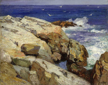 Canvas Art Print The Maine Coast Nature subject by Rousseau Henri Fine Art Print quality