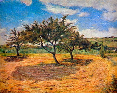 Canvas Art Print Apple Trees In Blossom Museum subject by Hacker Arthur Fine Art Print quality