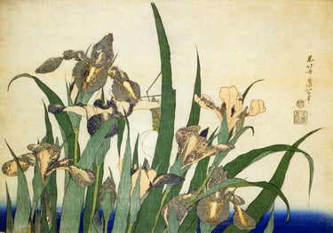 Canvas Art Print Irises Floral subject by Homer Winslow Fine Art Print quality