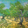 Canvas Art Print Olive Grove Museum subject by Seven Trees Design Fine Art Print quality