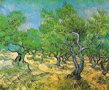 Canvas Art Print Olive Grove Museum subject by Seven Trees Design Fine Art Print quality