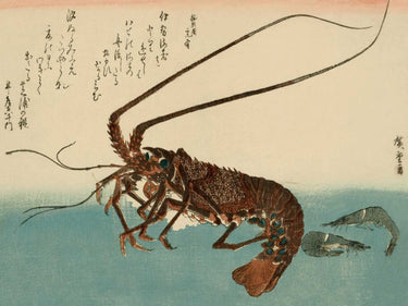 Canvas Art Print Shrimp and lobster Ethnic subject by Hollywood Photo Fine Art Print quality