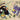 Canvas Art Print Black and Violet, 1923 Museum subject by Klimt Gustav Fine Art Print quality