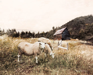 Canvas Art Print Sheep in the Meadow Nature subject by Stellar Design Studio Fine Art Print quality