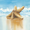 Canvas Art Print Sea Treasure Nature subject by Deiter Lori Fine Art Print quality