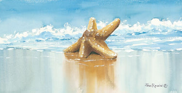 Canvas Art Print Sea Treasure Nature subject by Deiter Lori Fine Art Print quality