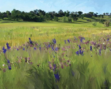 Canvas Art Print Bidwell Park Abstract subject by Penchev Radoslav Fine Art Print quality
