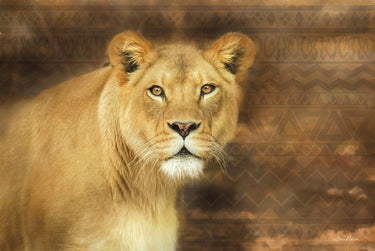 Tribal lioness nature canvas art print by Janisse Georgia, showcasing detailed lioness portrait on textured canvas.