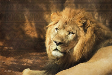 Canvas Art Print Tribal Lion Nature subject by Kamdon Kreations Fine Art Print quality