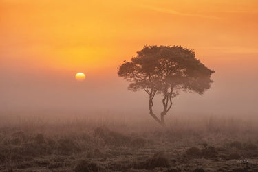 Canvas Art Print Enjoy the Silence I Landscape subject by Sterling Amber Fine Art Print quality
