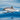 Canvas Art Print Striped Dolphin Photography subject by Gao Danny Fine Art Print quality