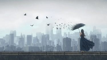 Canvas Art Print Fly Away Photography subject by Komovec Ales Fine Art Print quality