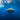 Whale shark and school of bonito fish depicted in a Gavra Assaf art print on canvas, showcasing vibrant marine life.