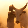 Canvas Art Print Boy Of Cattle Photography subject by Penchev Radoslav Fine Art Print quality
