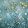 Canvas Art Print Magic Always Happen Photography subject by Viklund Anna Fine Art Print quality