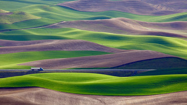 Canvas Art Print Driving In The Wheat Field At Palouse Photography subject by Kravanja Jure Fine Art Print quality