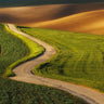 Canvas Art Print My path Photography subject by Viklund Anna Fine Art Print quality