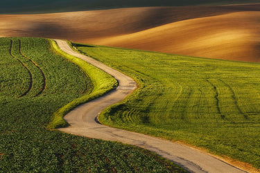 Canvas Art Print My path Photography subject by Viklund Anna Fine Art Print quality