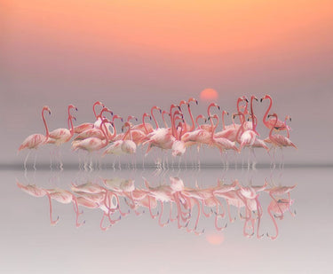 Canvas Art Print Meeting Before Sunset Photography subject by Lenzen Klaus Fine Art Print quality