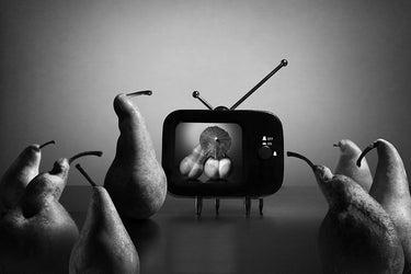 Canvas Art Print Tv Show For Adults Humor subject by Hashizume Kazuya Fine Art Print quality