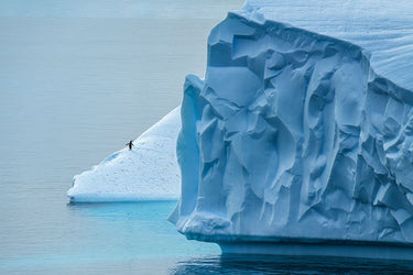Canvas Art Print Lost In Antarctica Photography subject by Mohammadi Reza Fine Art Print quality